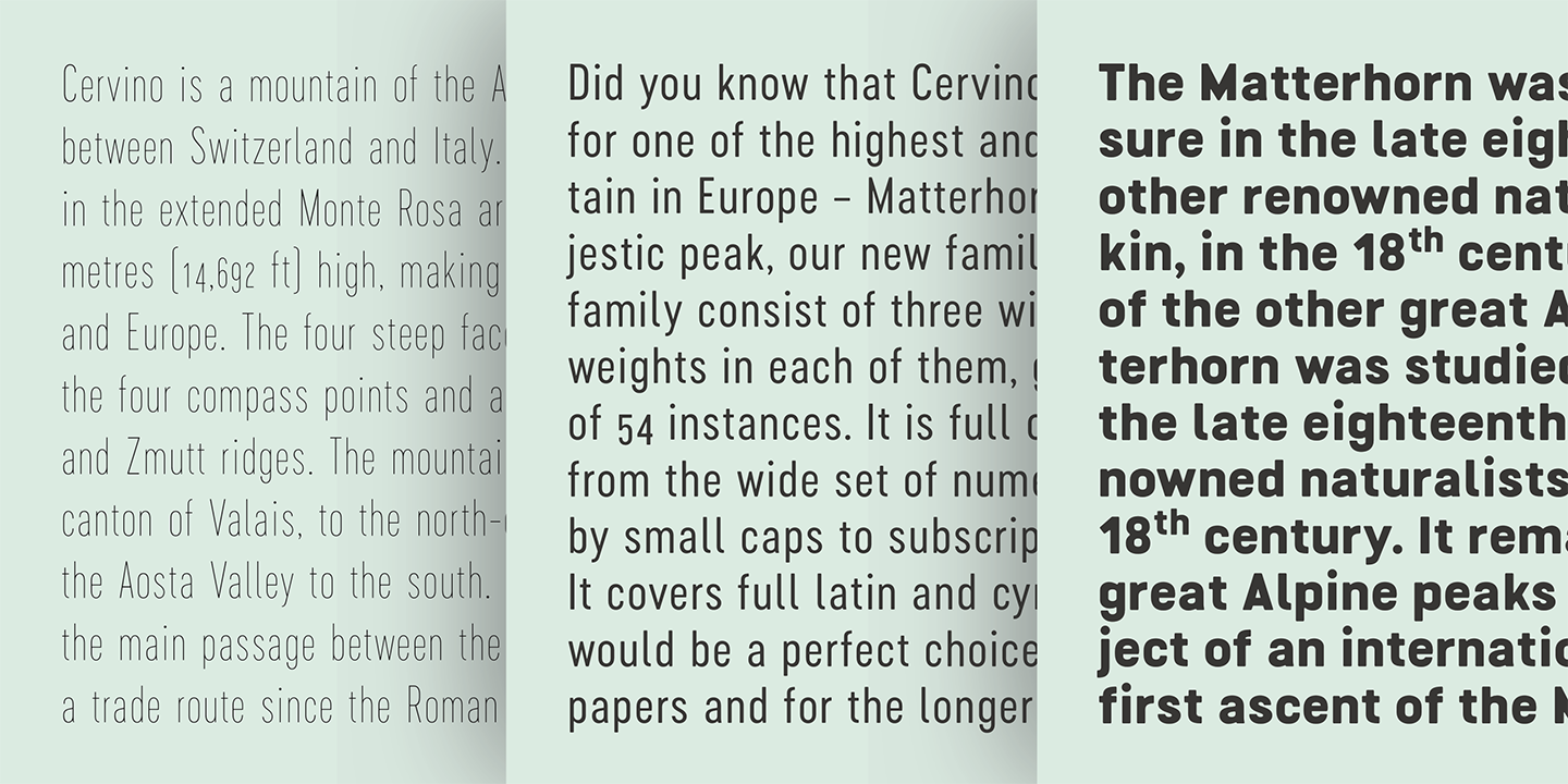 Example font Cervino Expanded #8